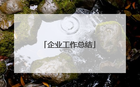 企业工作总结
