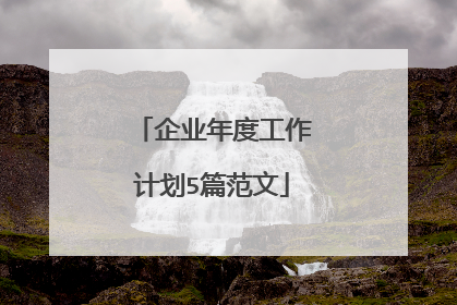 企业年度工作计划5篇范文