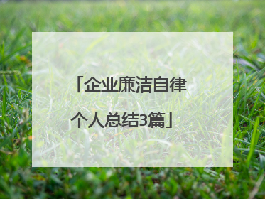 企业廉洁自律个人总结3篇