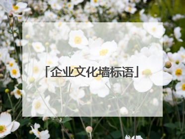 企业文化墙标语