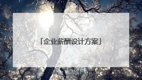企业薪酬设计方案