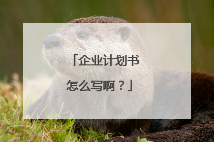企业计划书怎么写啊?