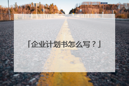 企业计划书怎么写?