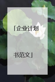 企业计划书范文