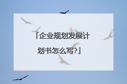 企业规划发展计划书怎么写?