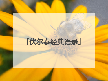 伏尔泰经典语录