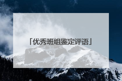 优秀班组鉴定评语