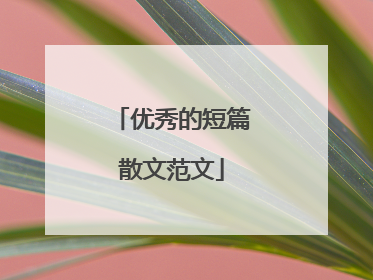 优秀的短篇散文范文