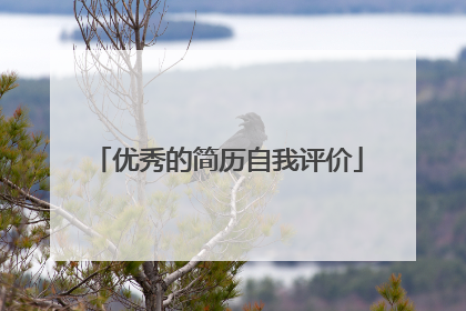 优秀的简历自我评价