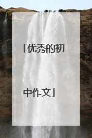 优秀的初中作文
