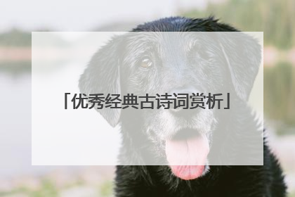 优秀经典古诗词赏析