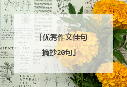 优秀作文佳句摘抄20句
