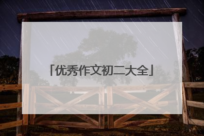 优秀作文初二大全