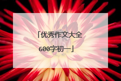 优秀作文大全600字初一