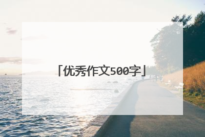 优秀作文500字