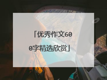 优秀作文600字精选欣赏