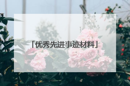 优秀先进事迹材料