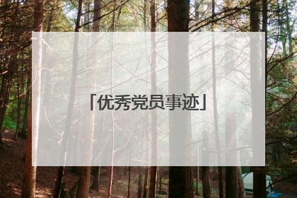 优秀党员事迹
