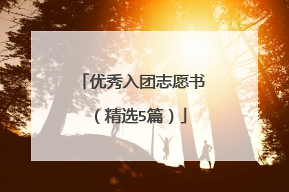 优秀入团志愿书（精选5篇）