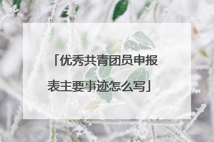 优秀共青团员申报表主要事迹怎么写