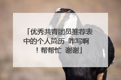 优秀共青团员推荐表中的个人简历 咋写啊 ！帮帮忙 谢谢