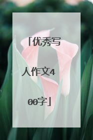 优秀写人作文400字