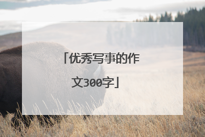 优秀写事的作文300字