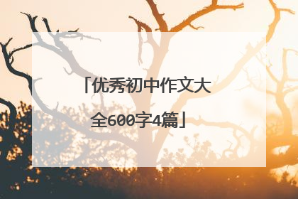 优秀初中作文大全600字4篇
