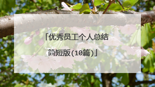 优秀员工个人总结简短版(10篇)