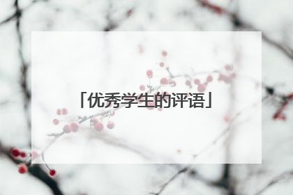 优秀学生的评语