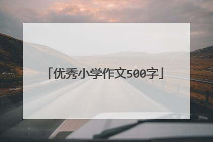 优秀小学作文500字
