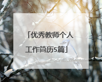 优秀教师个人工作简历5篇