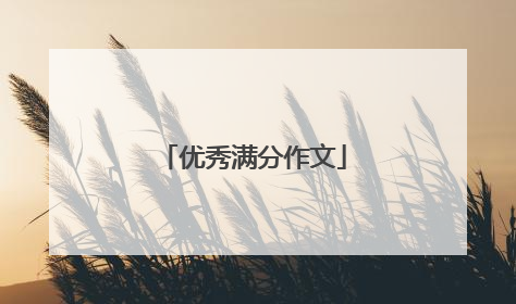 优秀满分作文