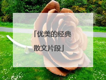 优美的经典散文片段
