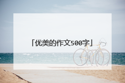 优美的作文500字