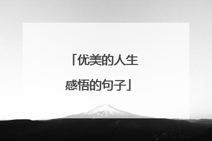 优美的人生感悟的句子