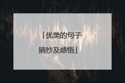 优美的句子摘抄及感悟