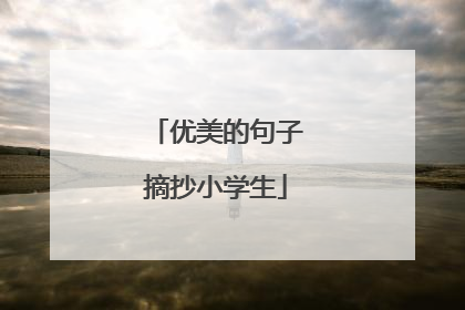优美的句子摘抄小学生