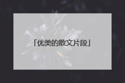 优美的散文片段