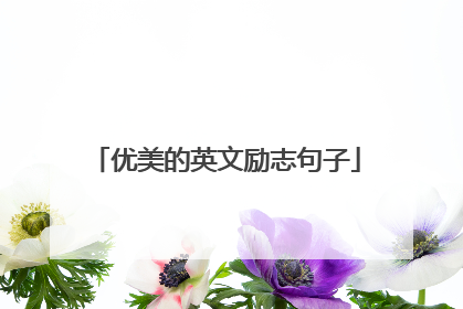 优美的英文励志句子