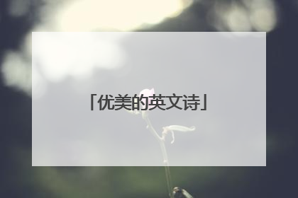 优美的英文诗