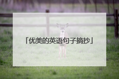 优美的英语句子摘抄
