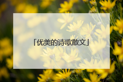 优美的诗歌散文