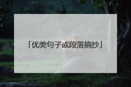 优美句子或段落摘抄