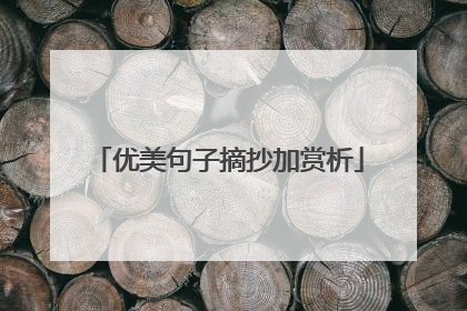 优美句子摘抄加赏析