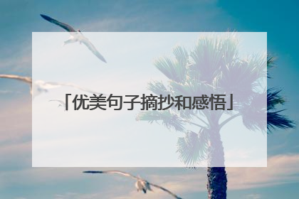 优美句子摘抄和感悟