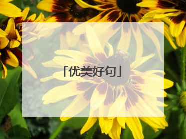 优美好句
