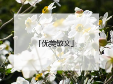 优美散文