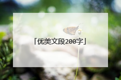 优美文段200字