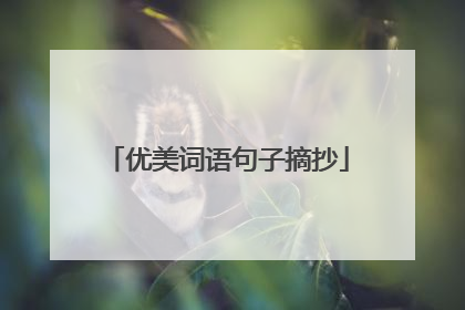 优美词语句子摘抄